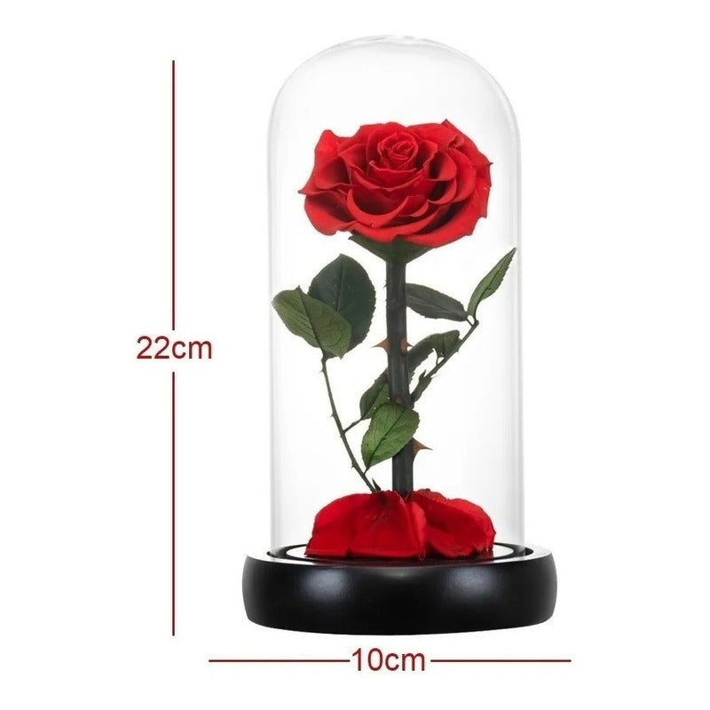 Rosa Eterna Luces Led Flor Eterna Artificial Cupula Vidrio